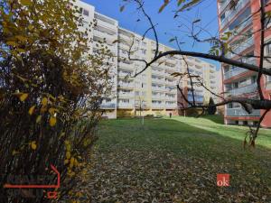 Prodej bytu 2+kk, Brandýs nad Labem-Stará Boleslav - Brandýs nad Labem, Na vinici, 32 m2