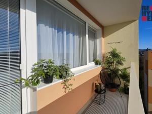 Prodej bytu 3+1, Liberec - Liberec XXV-Vesec, Fričova, 77 m2