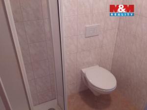 Pronájem bytu 1+kk, Horní Benešov - Luhy, 26 m2