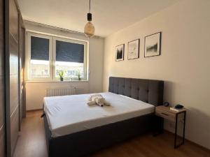 Pronájem bytu 2+kk, Praha - Hostivař, Rižská, 54 m2