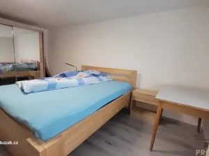 Prodej vícegeneračního domu, Horní Újezd, 210 m2