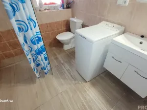 Prodej vícegeneračního domu, Horní Újezd, 210 m2