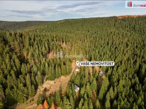 Prodej chalupy, Nové Hamry, 100 m2