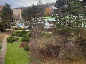 Prodej bytu 3+1, Ústí nad Labem - Krásné Březno, Anežky České, 72 m2