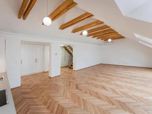 Pronájem bytu 4+kk, Praha - Nové Město, Růžová, 149 m2