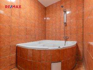 Prodej bytu 3+1, Mladá Boleslav, U stadionu, 88 m2