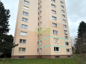 Pronájem bytu 1+1, Liberec - Liberec XIII-Nové Pavlovice, Bezová, 39 m2