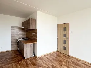 Pronájem bytu 2+kk, Most, Františka Malíka, 40 m2