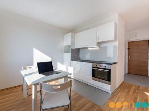 Pronájem bytu 1+1, Chomutov, Kamenná, 35 m2