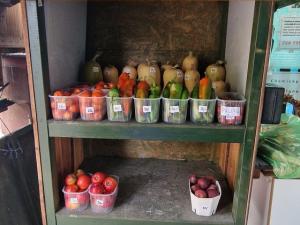 Prodej pozemku pro bydlení, Charvatce, 972 m2