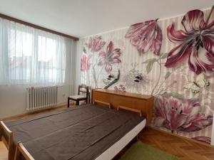 Pronájem bytu 3+1, České Budějovice, Čechova, 68 m2