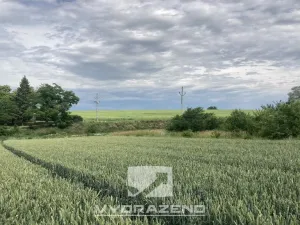 Prodej pozemku pro bydlení, Radostice, 1379 m2