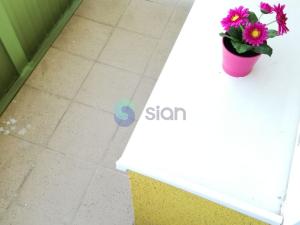 Pronájem bytu 2+1, Ostrava - Hrabůvka, Dr. Martínka, 54 m2