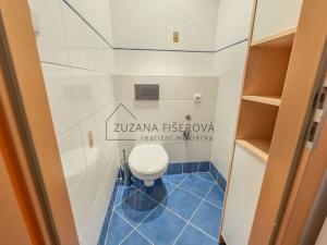 Pronájem bytu 3+1, Praha, V rovinách, 56 m2