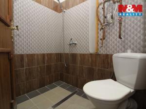 Pronájem bytu 3+kk, Svor, 75 m2