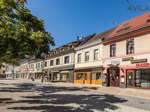 Prodej komerční nemovitosti, Benešov, Masarykovo náměstí, 256 m2