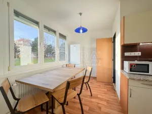 Pronájem pokoje, České Budějovice - České Budějovice 2, J. Opletala, 65 m2