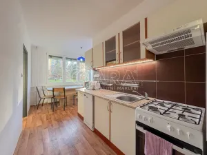 Pronájem pokoje, České Budějovice - České Budějovice 2, J. Opletala, 65 m2