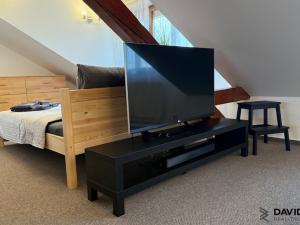 Pronájem atypického bytu, Brno - Veveří, Gorkého, 61 m2