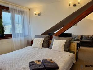 Pronájem atypického bytu, Brno - Veveří, Gorkého, 61 m2