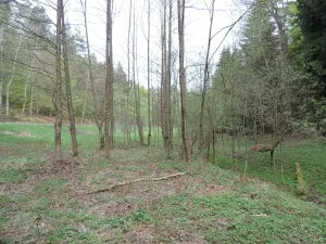 Prodej lesa, Osečná, 3006 m2