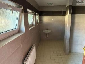 Pronájem skladu, Libčeves, U Rybníka, 30000 m2