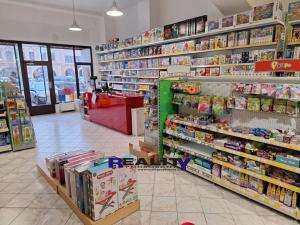 Pronájem obchodního prostoru, Žatec, náměstí Svobody, 140 m2