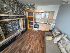 Prodej bytu 1+kk, Most, U Věžových domů, 22 m2