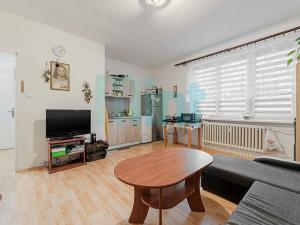 Prodej bytu 1+kk, Havířov, 17. listopadu, 25 m2