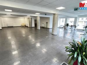 Pronájem obchodního prostoru, Louny, Březinova, 210 m2