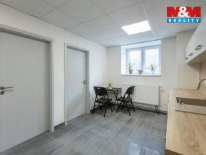 Pronájem obchodního prostoru, Louny, Březinova, 210 m2