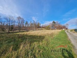 Prodej pozemku pro bydlení, Sosnová, 1216 m2