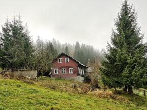 Prodej chalupy, Rokytnice nad Jizerou - Dolní Rokytnice, 108 m2