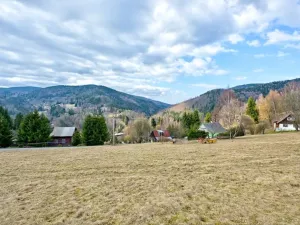 Prodej chalupy, Rokytnice nad Jizerou - Dolní Rokytnice, 108 m2