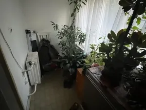 Prodej podílu vícegeneračního domu, Lužná, Čejkovka, 250 m2