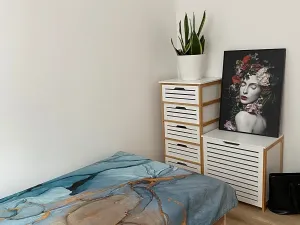 Prodej bytu 3+kk, Ostrava, Václava Košaře, 44 m2