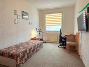 Prodej bytu 4+1, Tachov, Korandova, 89 m2