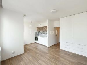 Pronájem bytu 1+kk, Praha - Vinohrady, Lucemburská, 30 m2