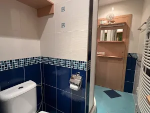 Pronájem bytu 1+kk, Hlásná Třebaň, 51 m2