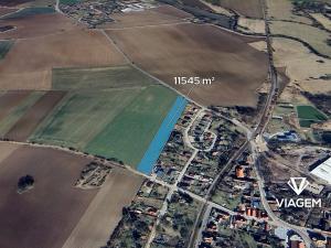 Prodej podílu pole, Skřivany, 2886 m2