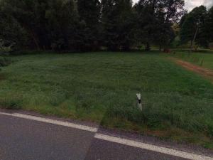 Prodej pozemku, Jívka, 2052 m2