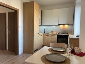 Pronájem bytu 2+kk, Ostrava, Sokolská třída, 61 m2