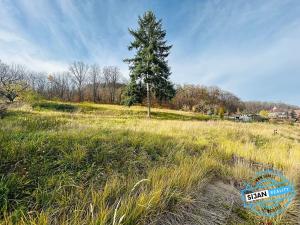 Prodej pozemku pro bydlení, Krnov, Petrův důl, 1306 m2