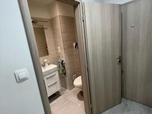 Pronájem bytu 1+kk, Šumperk, Bludovská, 36 m2