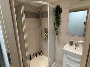 Pronájem bytu 1+kk, Šumperk, Bludovská, 36 m2