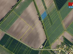 Prodej pole, Šumice, 4410 m2