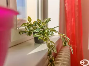 Prodej bytu 2+1, Praha, Olbramovická, 57 m2