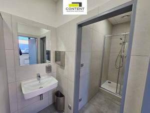 Pronájem výrobních prostor, Řepov, 1690 m2