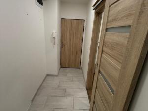 Pronájem bytu 2+1, Most, Josefa Skupy, 51 m2