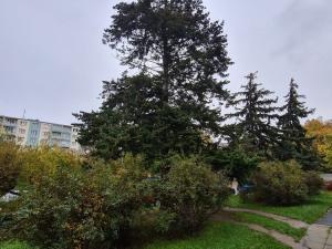 Pronájem bytu 3+1, Praha - Záběhlice, Narcisová, 79 m2